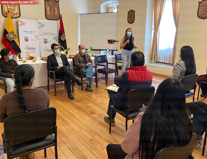 Productores buscan expandir su mercado a nivel nacional e internacional